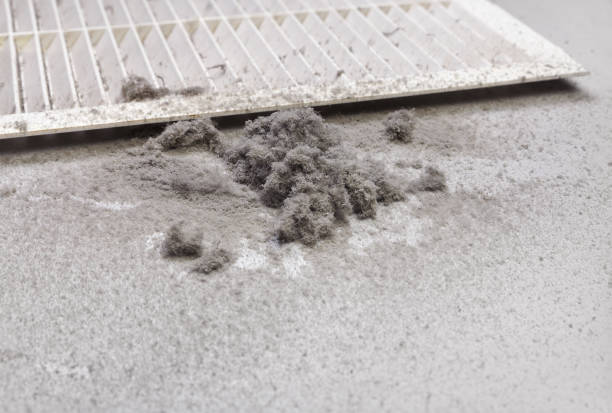 Best Best Air Duct Cleaning Company  in Wheelersburg, OH